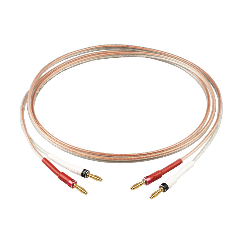 YYTCG câble de haut-parleur Hi - Home Cinema Sound System avis et prix