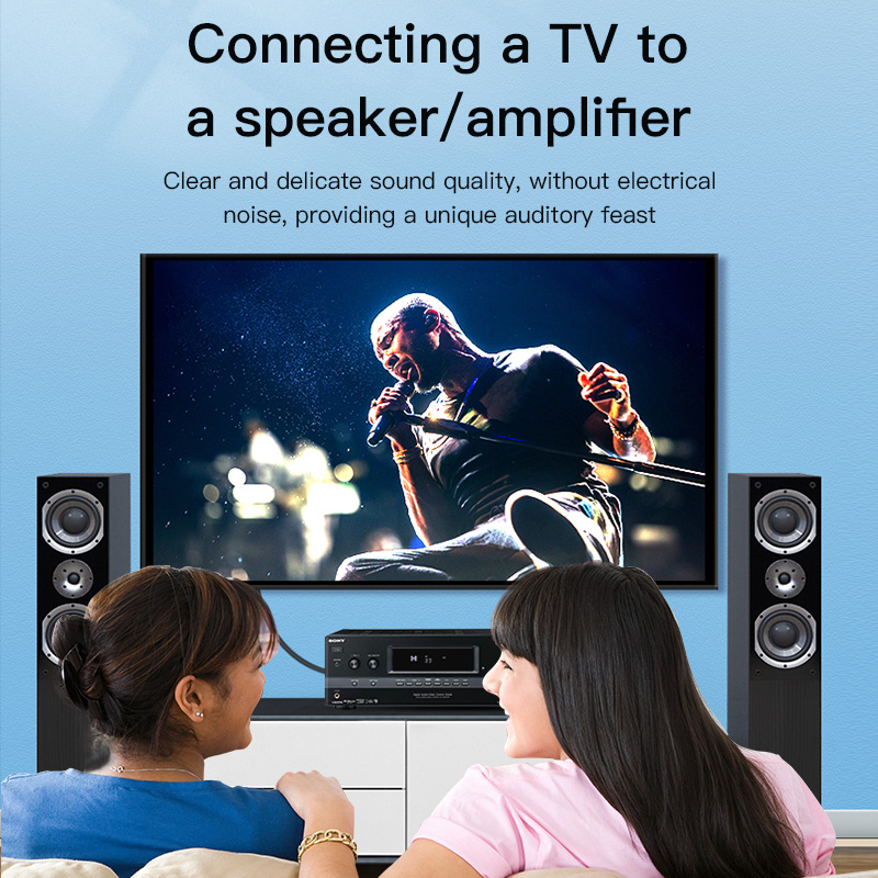 Câble RCA CHOSEAL, câble audio - Home Cinema App avis et prix